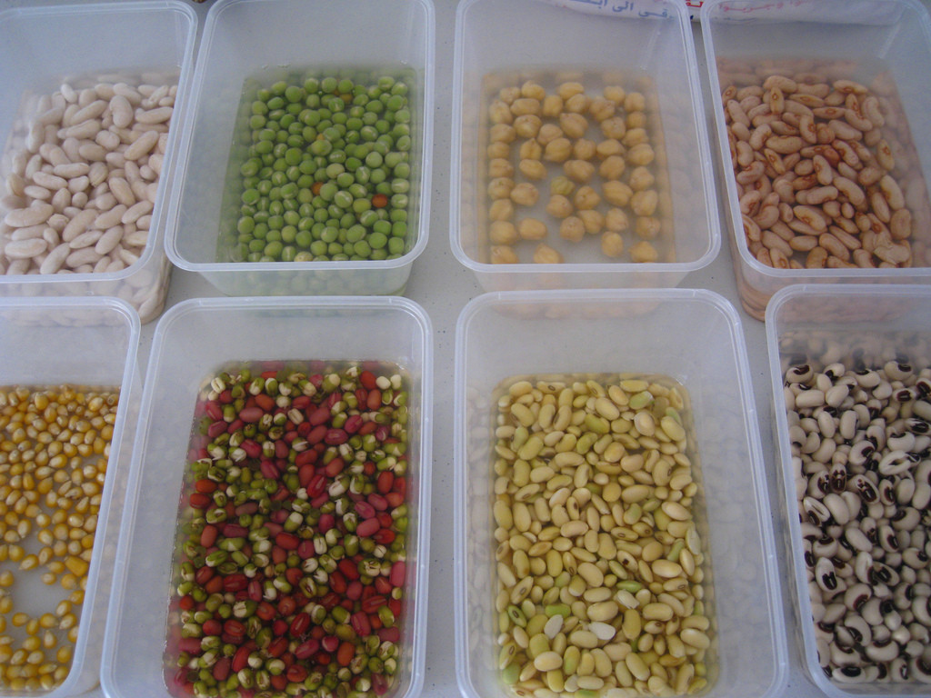 Assorted pulses (Photo Credit: shanlung)
