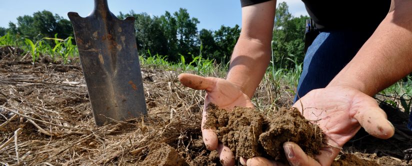 A farmer inspects the health of his soil through look, feel, and smell in Greensboro, North Carolina. (Ron Nichols, USDA NRCS North Carolina)