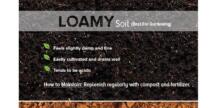 How to Test and Amend Your Soil Type